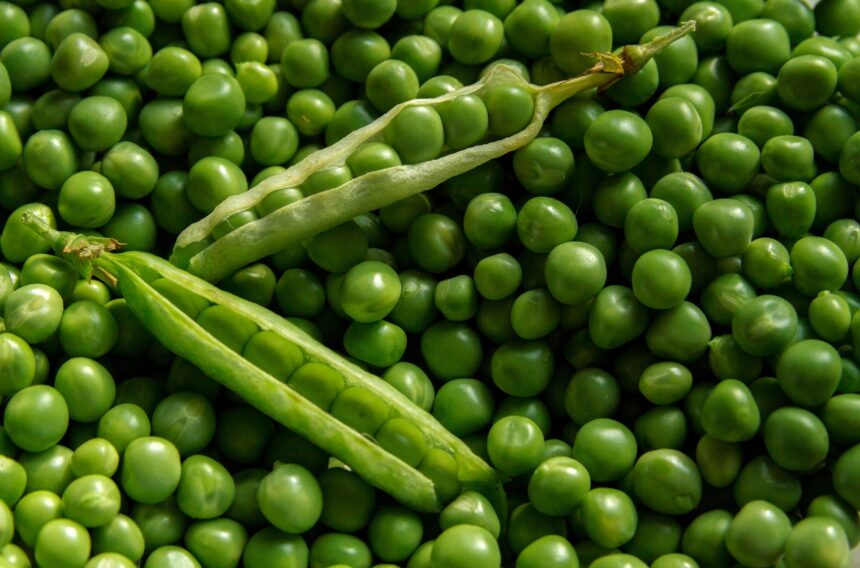 How can your body benefit from eating green peas? Viva La Gaia